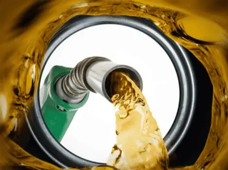 Green Diesel Minn CNSL